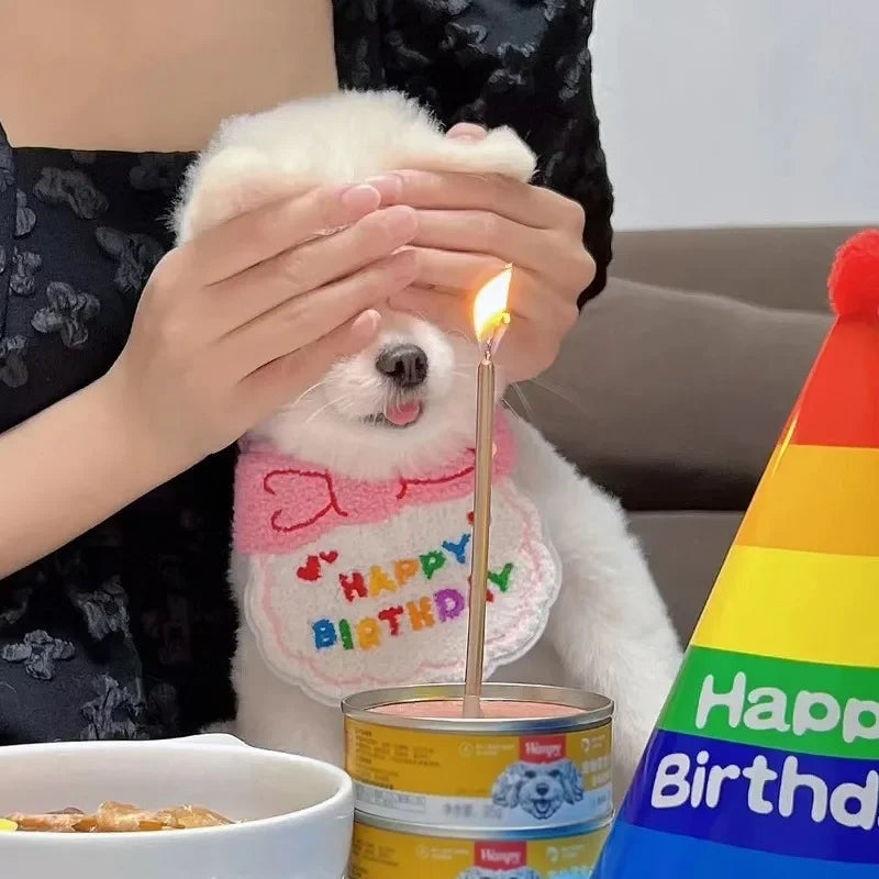 Pet Birthday Hat & Bandana Set