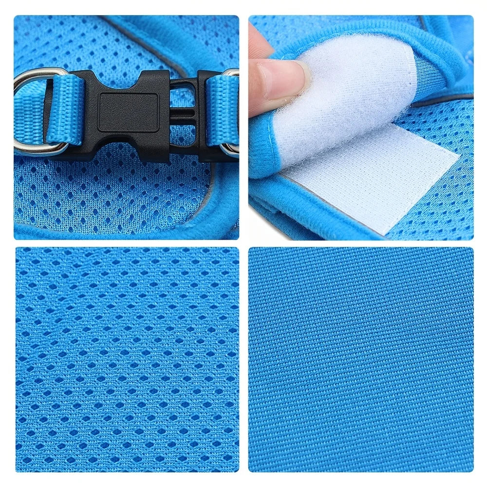 Reflective No-Pull Harness & Leash Set
