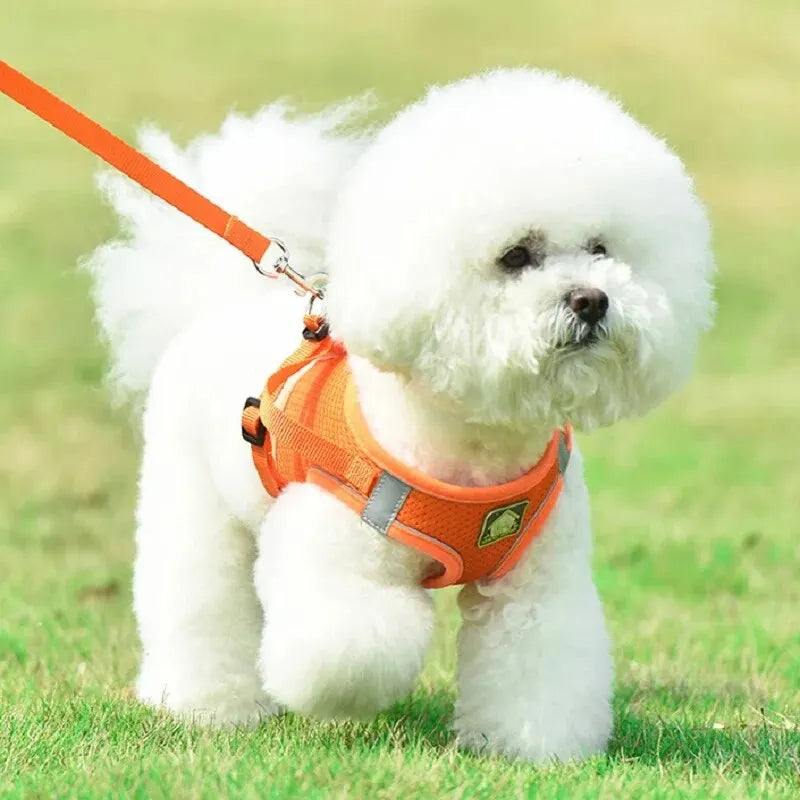Reflective No-Pull Harness & Leash Set