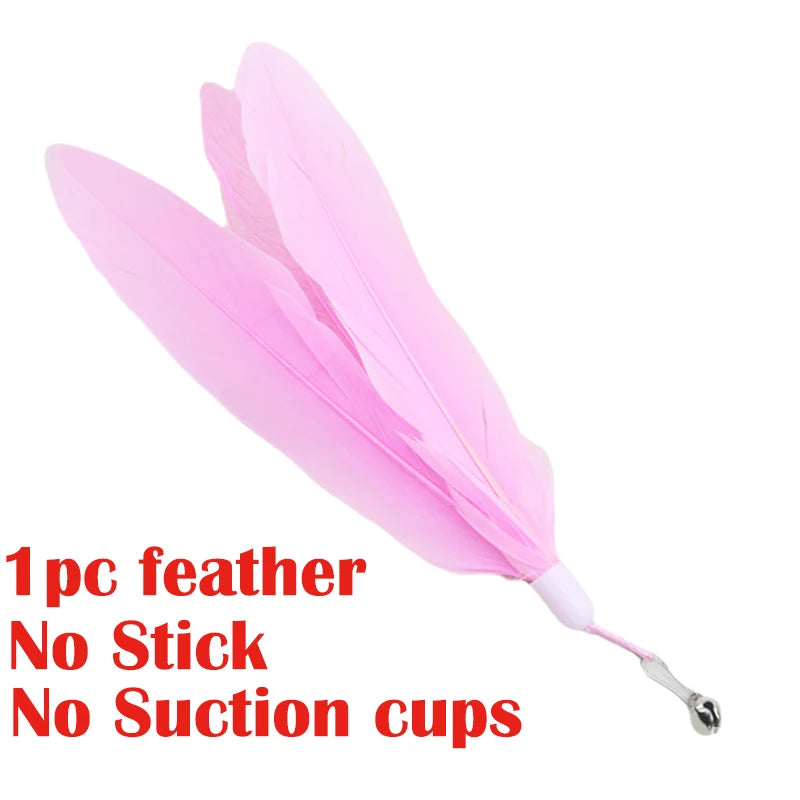 Hands-Free Bird Wand Cat Toy