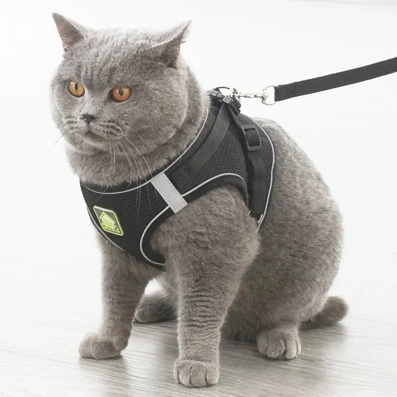 Reflective No-Pull Harness & Leash Set