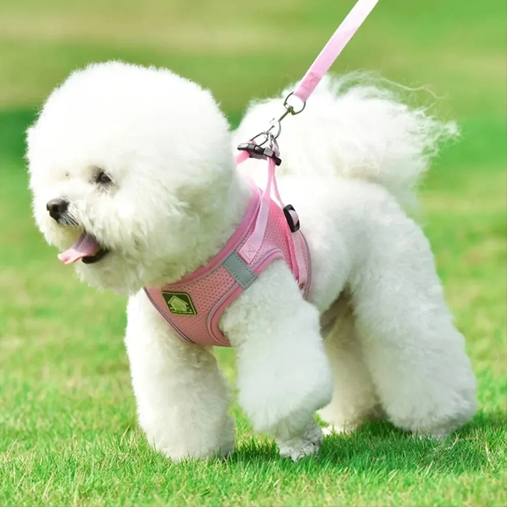 Reflective No-Pull Harness & Leash Set