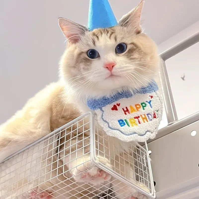 Pet Birthday Hat & Bandana Set