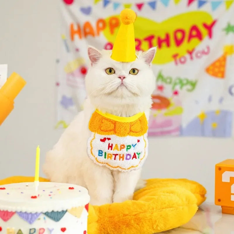 Pet Birthday Hat & Bandana Set