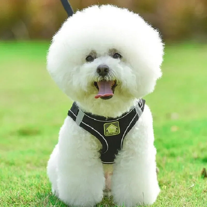 Reflective No-Pull Harness & Leash Set